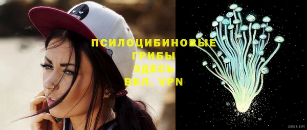 бошки Дрезна