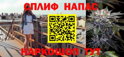 дживик Кингисепп