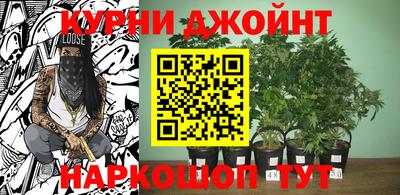 дживик Кингисепп