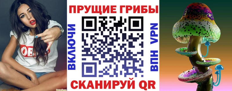 Псилоцибиновые грибы MAGIC MUSHROOMS  купить  цена  OMG вход  Лосино-Петровский 