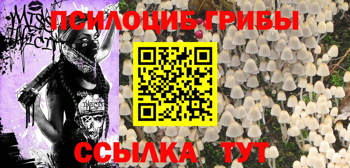 Лосино-Петровский  Галлюциногенные грибы мухоморы  Вход с VPN 